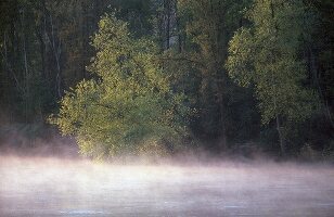 Die Loire im Nebel, Château Chaumont im Hintergrund