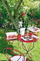 rote Gartenmöbel aus Metall im Garten, Kissen, Beeren in Schalen