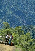 View of crater wall at the Mirador in La Palma, Canary Island, Spain