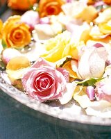 Close-up of fresh roses in bowl