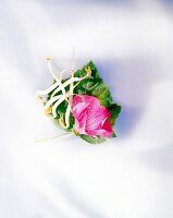 Hair care natural products - Mallow flower and soy on white background