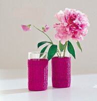 Pfingstrose, Päonie, als Dekoration in Gläsern mit Bastgeflecht, rosa