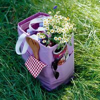gepackte Picknicktasche, Blumen, Sonnenbrille, Zeitschrift, Flaschen