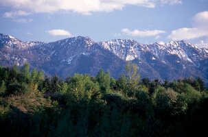 Views of the mountains, snow and trees