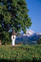 Blick auf die Berge, davor Marienbild in einem Häuschen, weiß.