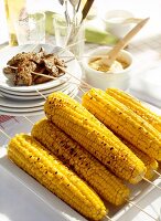 Grilled corn on the cob with small meat skewers