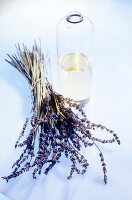 Dried lavender and bottle of oil on white background