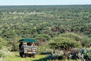 Car being droven through savannah and horizon, Namibia