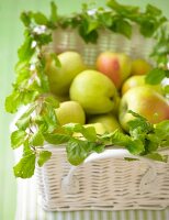 Äpfel liegen in einem Korb, mit Blättern verziert