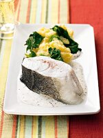 Haddock with mustard cream on plate