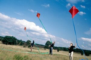 Three people standing in meadow and flying kites