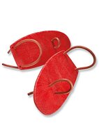 rote Hand-paddles 