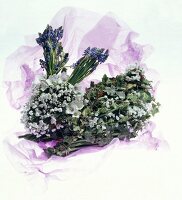 White and blue flowers with leaves on purple fabric against white background