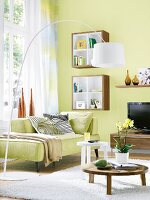 Green sofa with shelves and fur rug in living room