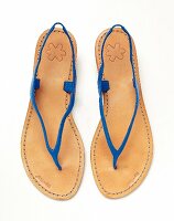 Flip-flops with blue straps on white background