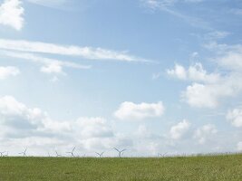 Landschaft mit grünem Feld und Windkraftwerken am Horizont