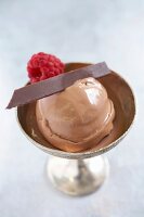 Creamy chocolate ice cream with raspberry in ice cream cup