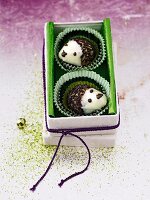 Two rum ball hedgehogs in a box