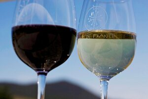 Rotwein und Weißwein in 2 Gläsern, Frankreich, Himmel im Hintergrund