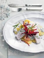 Various types of fish fillet in a creamy herb sauce and beetroot strips (Christmas)