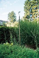 Rake for weeding weeds buried in ground with handle upright