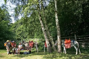 Nationalpark Kellerwald-Edersee in Hessen Pause während Eselreittour