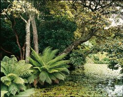 Lost Gardens of Heligan in Cornwall 