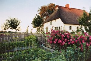 View of thatched house with garden