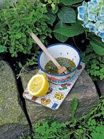 Marinade mit Pinsel in Schüssel, Zitrone auf einem Brotbrett im Garten