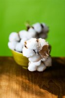 Close-up of cotton branch in bowl