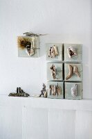 Driftwood and flotsam and jetsam arranged artistically on canvases leaning against a wall