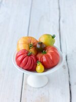 weiße Schale mit verschiedenen Tomatensorten