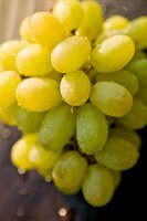 Close-up of fresh green washed grapes with water drops on it