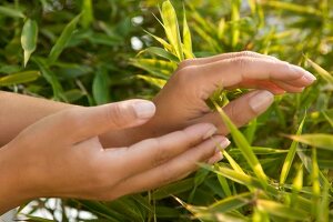 Close-up of hands on bamboo dish