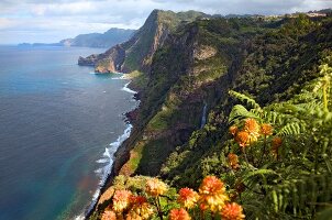 View of green rocky coastline and Atlantic ocean, Madeira, Portugal