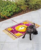 Black dog with leash standing near petal decoration on stone flooring