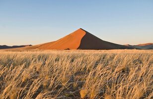 Namibia, Düne der Namib-Wüste, Sossusvlei, Steppe