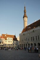Estland, Tallinn, Rathaus, X 
