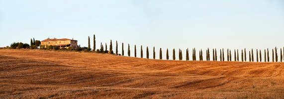 Italien, Toskana, Bagno Vignoni, Blick über Felder auf Zypressen