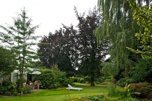 View of garden with large lawn, copper beech and maple blood trees