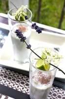 Kokosdrink in Gläsern, mit Lavendel und Limette garniert
