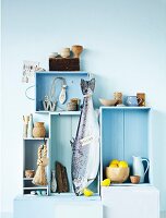Full raw salmon and equipments in light blue shelf
