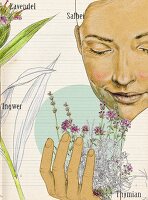 Person hält Thymianpflanze, Salbei, Lavendel und Ingwer, Illustration