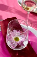 Close-up of flower in glass with wine glass by side on pink cloth
