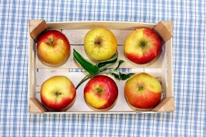 Verschiedene Apfelsorten 
