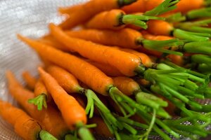 Close-up of several carrots on glass plate