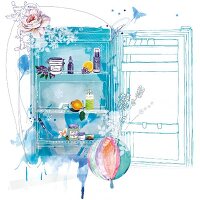 Kosmetikprodukte zum Selbermachen, im Kühlschrank, Illustration