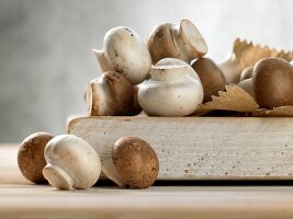 Deutsche Küche, braune und weiße Champignons