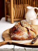 Klassiker, Schinken im Brotteig mit Kümmel, Fenchel, Koriander