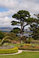 View of front garden in Bantry House with sea in background, Ireland, UK